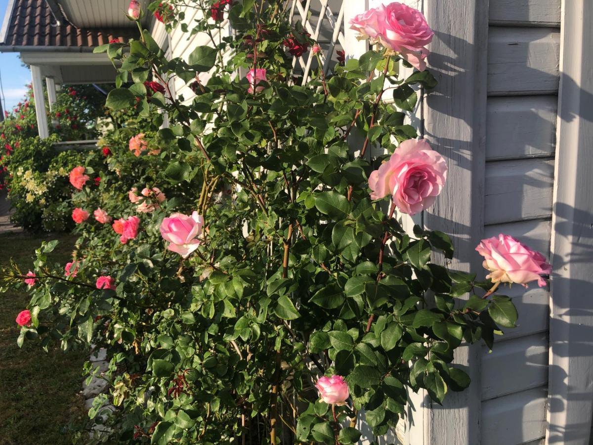 Manni Homestay Kuressaare Buitenkant foto