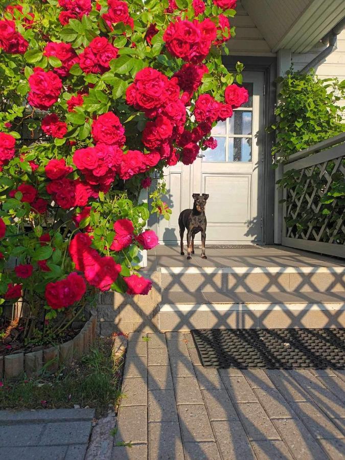 Manni Homestay Kuressaare Buitenkant foto