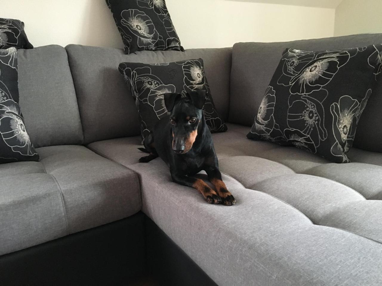 Manni Homestay Kuressaare Buitenkant foto